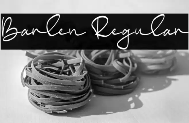 Barlen Regular Font examples