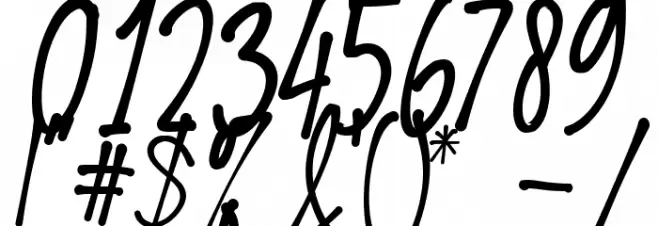 Barleria Font OTHER CHARS