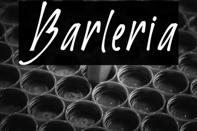 Barleria Font examples