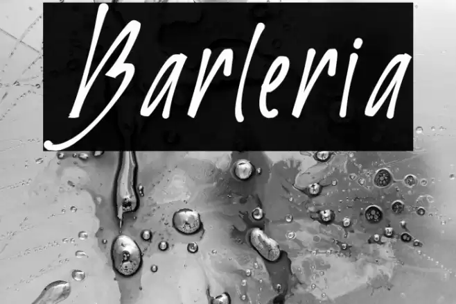 Barleria Font examples