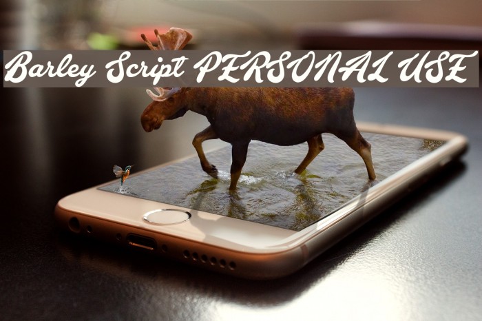 Barley Script PERSONAL USE Font examples