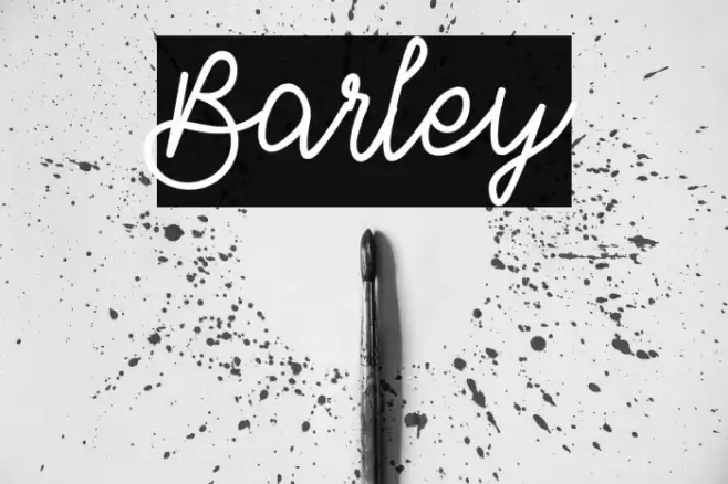 Barley Font examples