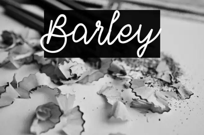 Barley Font examples