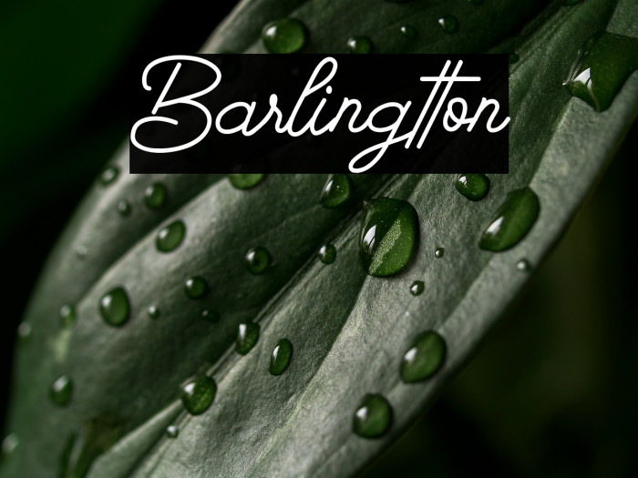 Barlingtton Example 1