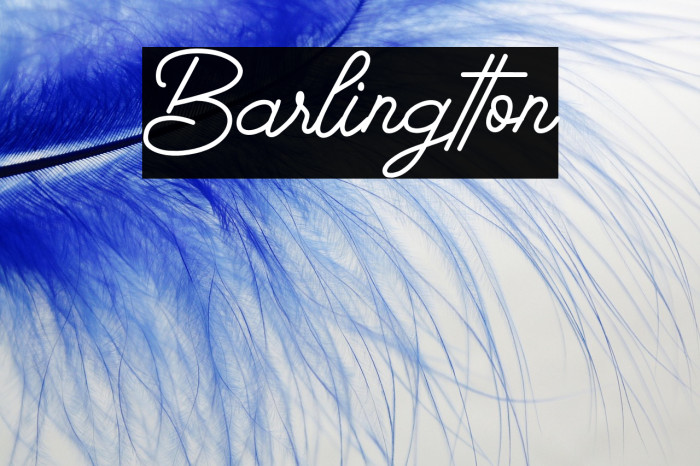 Barlingtton Example 2