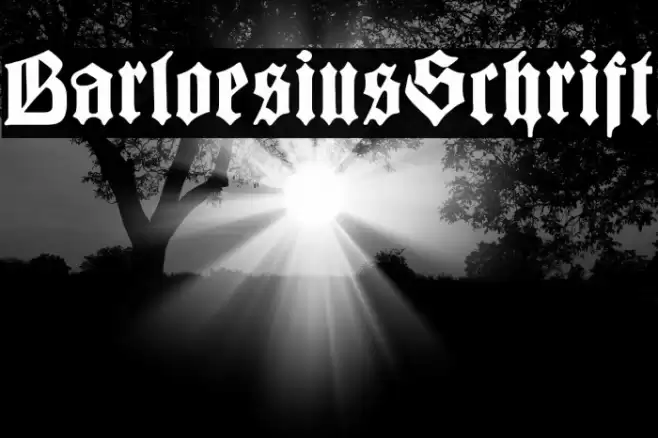 BarloesiusSchrift Font examples