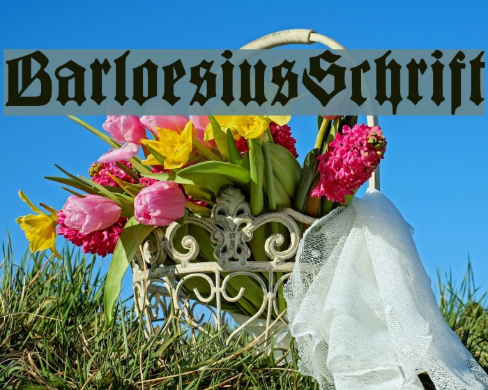 BarloesiusSchrift Example 1