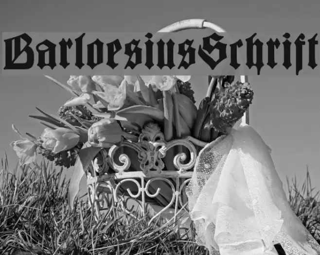 BarloesiusSchrift Font examples