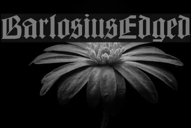 BarlosiusEdged Font examples