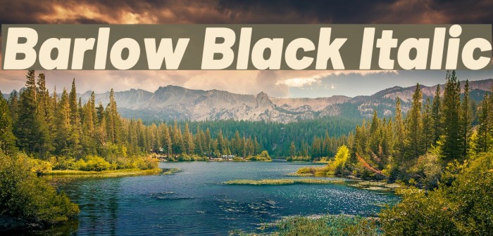 Barlow Black Italic Font examples