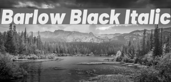 Barlow Black Italic Font examples