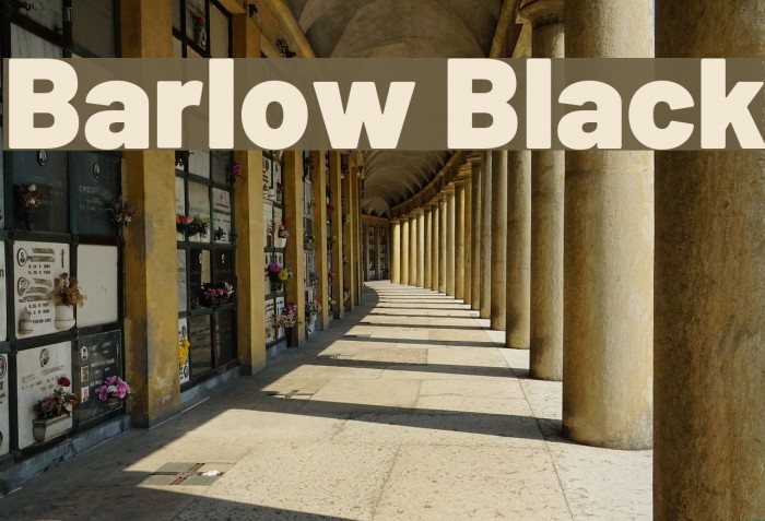 Barlow Black Font examples
