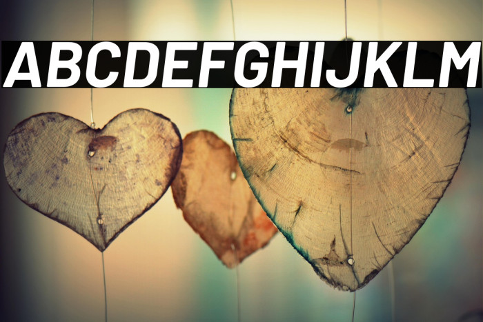 Barlow Bold Italic Example 2