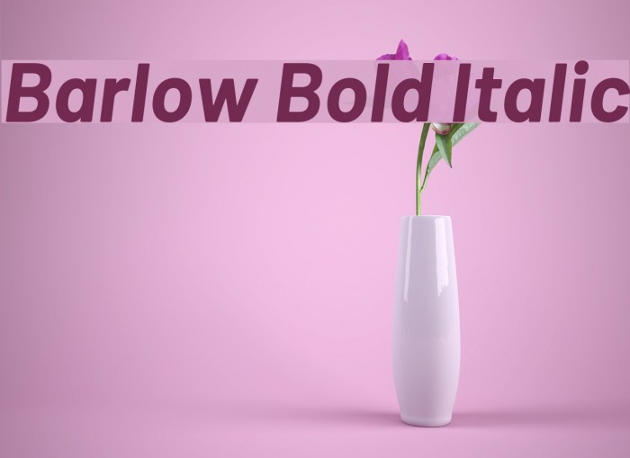Barlow Bold Italic Font examples
