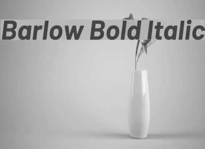 Barlow Bold Italic  examples