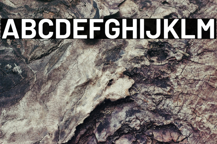 Barlow Bold Example 1