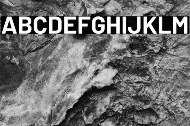 Barlow Bold Font examples