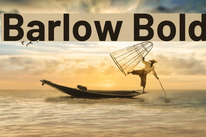 Barlow Bold Font examples