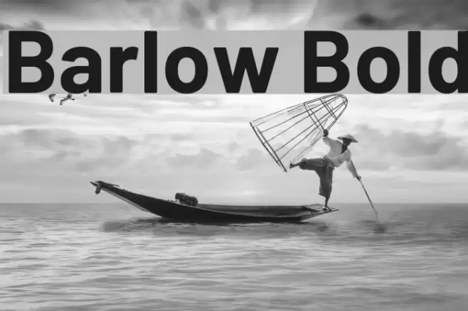 Barlow Bold Font examples