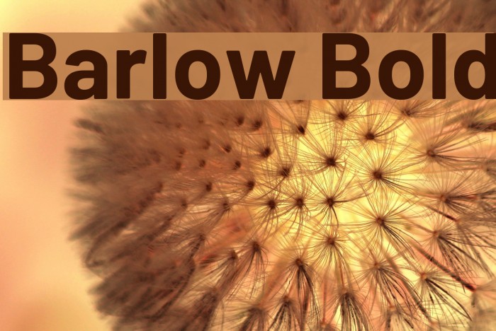 Barlow Bold Font examples