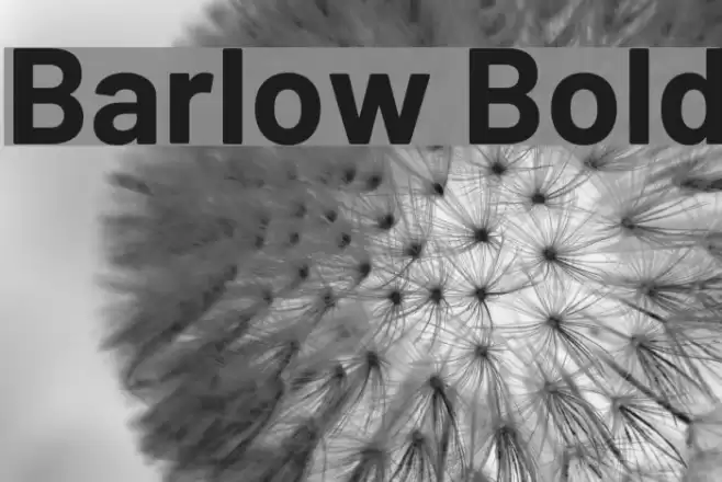 Barlow Bold Font examples