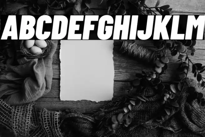 Barlow Condensed Black Italic Font examples