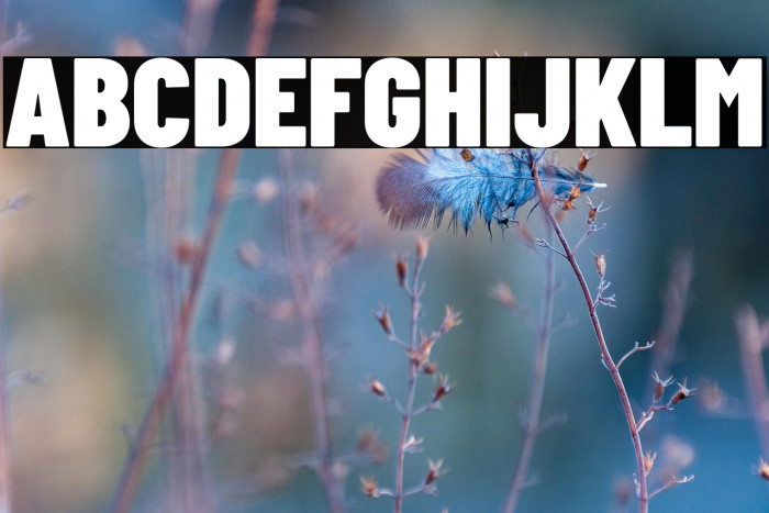 Barlow Condensed Black Example 3