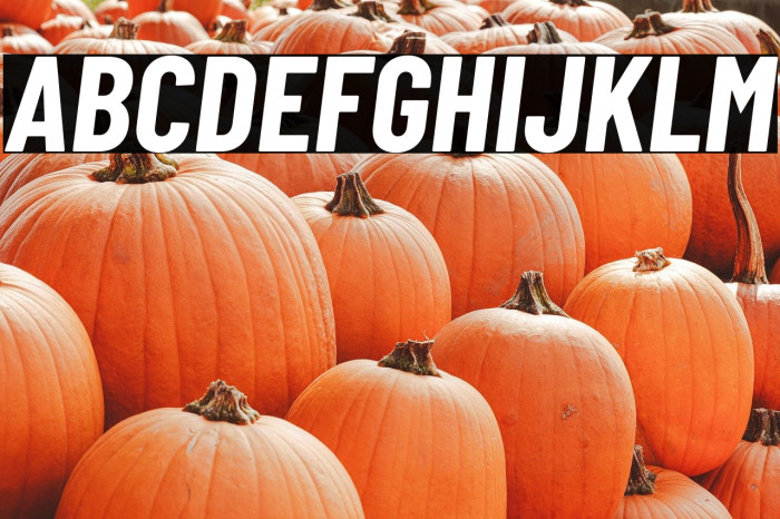 Barlow Condensed Bold Italic Example 1