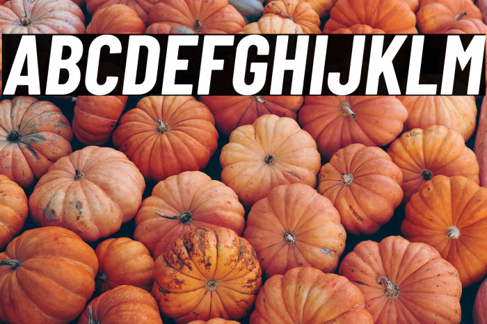 Barlow Condensed Bold Italic Example 2