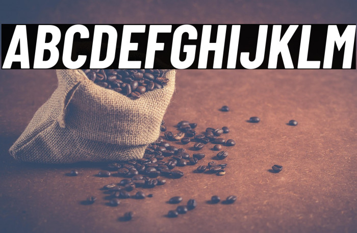 Barlow Condensed Bold Italic Example 3