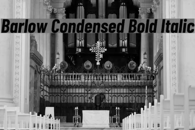 Barlow Condensed Bold Italic Font examples