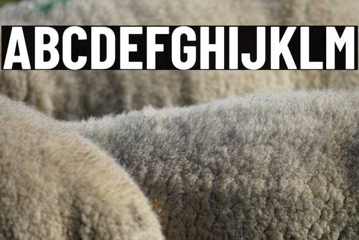 Barlow Condensed Bold Example 1