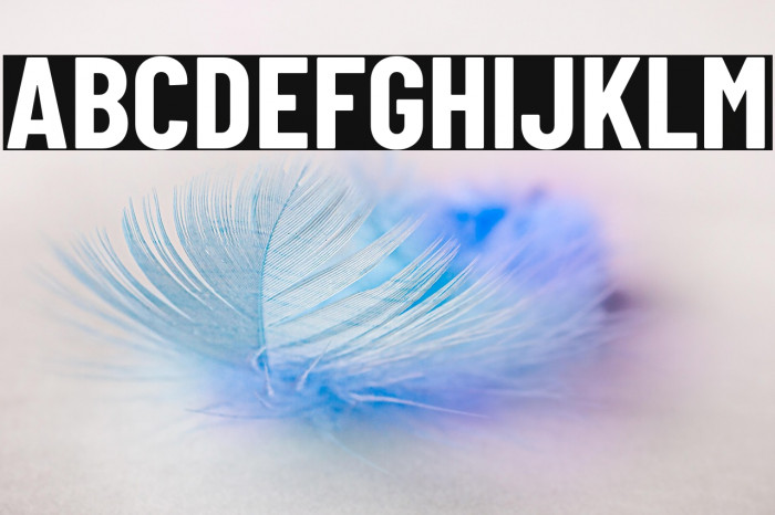 Barlow Condensed Bold Example 2