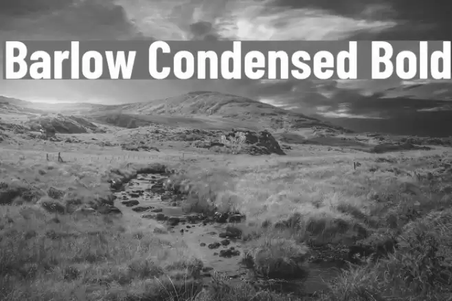 Barlow Condensed Bold Font examples