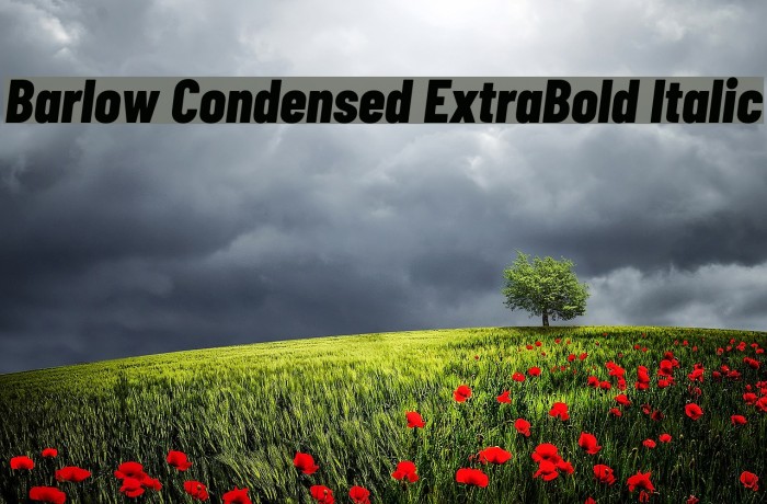 Barlow Condensed ExtraBold Italic Font examples