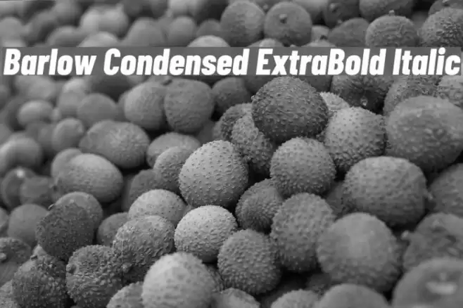 Barlow Condensed ExtraBold Italic Font examples