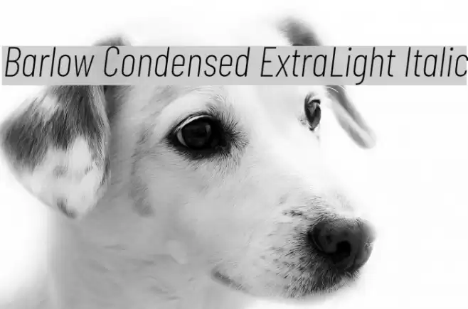 Barlow Condensed ExtraLight Italic Font examples
