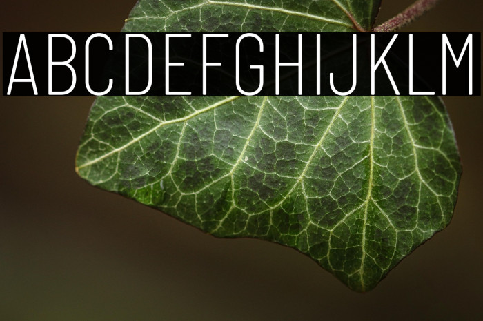 Barlow Condensed ExtraLight Example 1