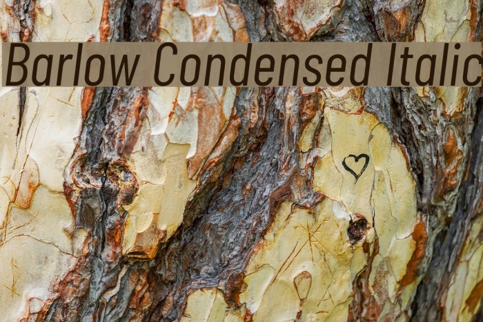 Barlow Condensed Italic Example 2