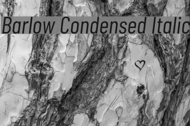 Barlow Condensed Italic Font examples
