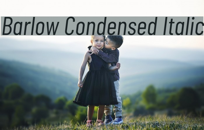 Barlow Condensed Italic Example 3