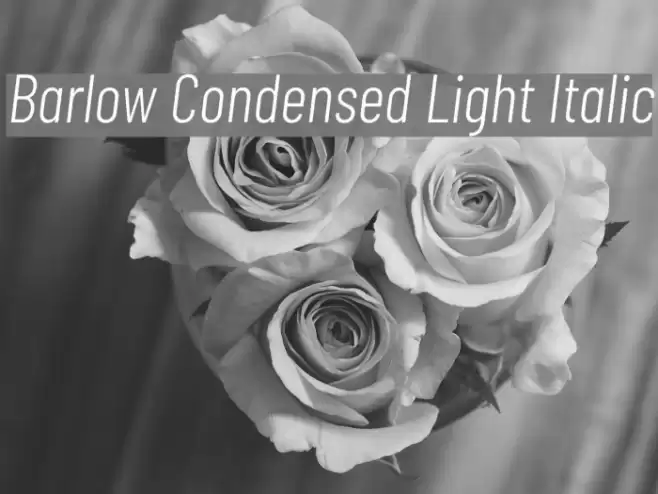 Barlow Condensed Light Italic Font examples