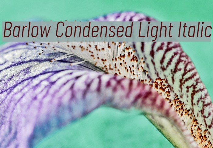 Barlow Condensed Light Italic Font examples