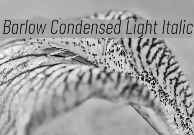 Barlow Condensed Light Italic Font examples