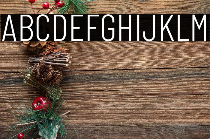 Barlow Condensed Light Example 3