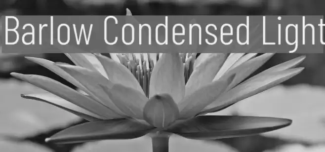 Barlow Condensed Light Font examples