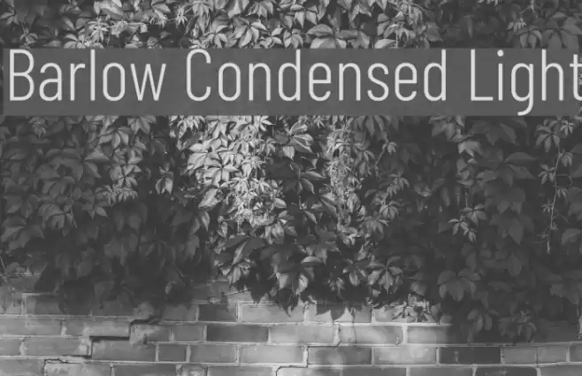 Barlow Condensed Light Font examples