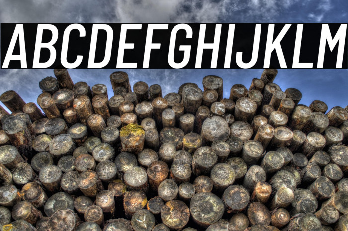 Barlow Condensed Medium Italic Example 2