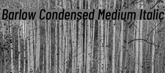 Barlow Condensed Medium Italic Font examples