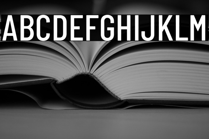 Barlow Condensed Medium Example 2